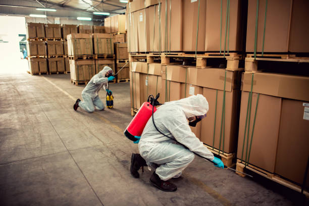 Best Flea Control Services  in Donald, OR