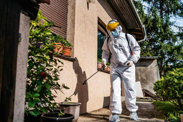 Pest Control Cost in Donald, OR