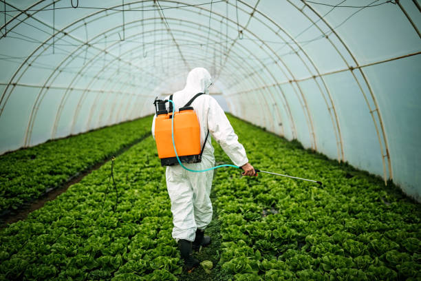 Best Emergency Pest Control  in Donald, OR