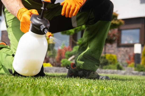 Best Spider Control Near Me  in Donald, OR