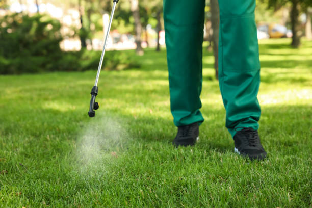 Pest Prevention Services in Donald, OR