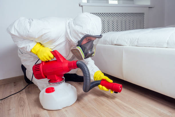 Best Local Pest Control Services  in Donald, OR