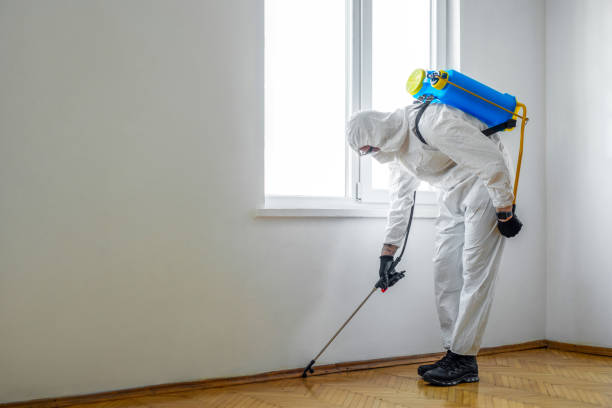 Best Pest Control for Businesses  in Donald, OR
