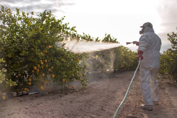 Best Cockroach Control Services  in Donald, OR