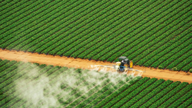 Best Mosquito Control Services  in Donald, OR