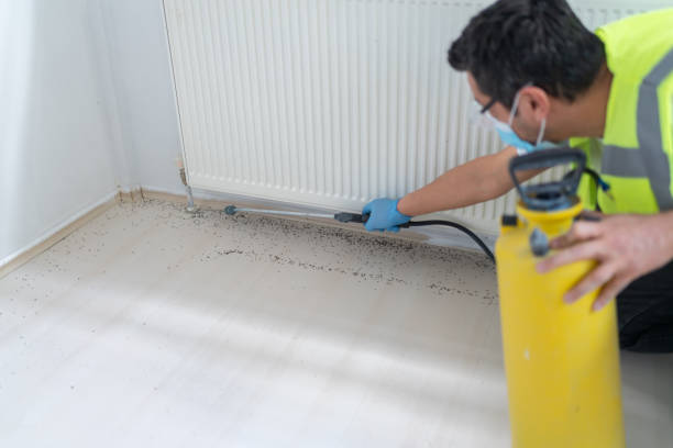 Professional Pest Control in Donald, OR